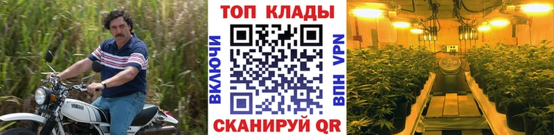 Продажа наркотиков Азов COCAIN omg ТОР Метамфетамин Конопля Alpha PVP