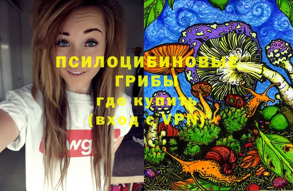 ГАЛЛЮЦИНОГЕННЫЕ ГРИБЫ Абинск